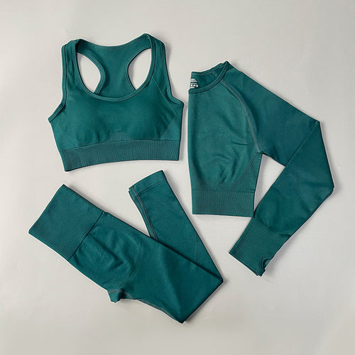 2/3/4pcs Seamless Women Yoga Set Workout Sportswear Gym Clothes