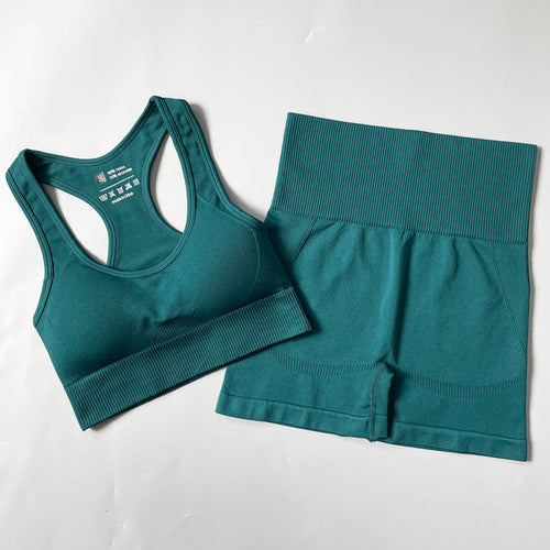2/3/4pcs Seamless Women Yoga Set Workout Sportswear Gym Clothes