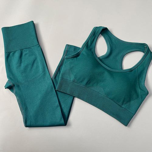 2/3/4pcs Seamless Women Yoga Set Workout Sportswear Gym Clothes